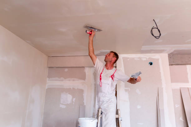 Best Drywall Removal and Disposal  in Hillsboro, MO