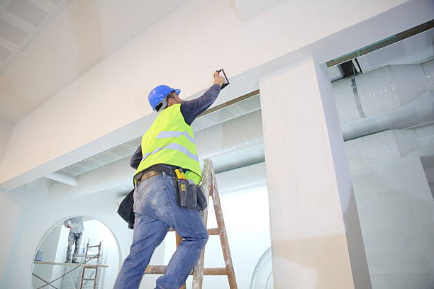 Best Commercial Painting  in Hillsboro, MO